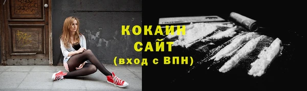 шишки Кукмор