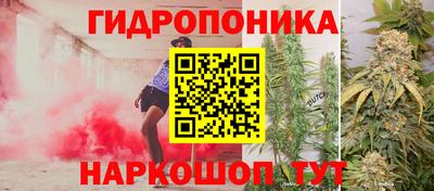 эйфоретик Гусь-Хрустальный