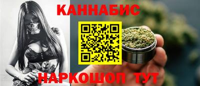 индика Гусев