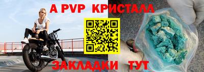 индика Гусев