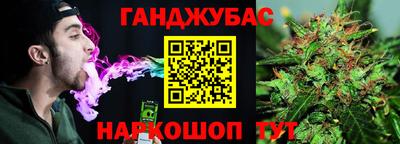 индика Гусев