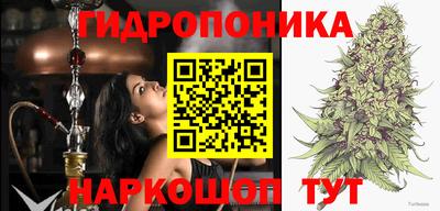индика Гусев