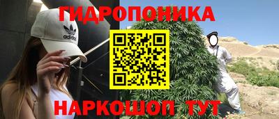 эйфоретик Гусь-Хрустальный