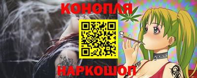 индика Гусев