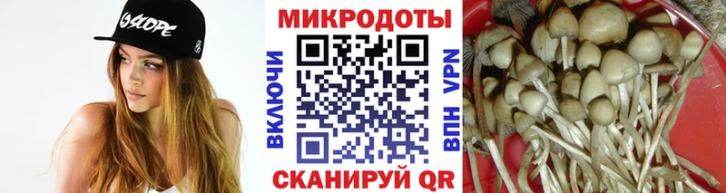 Псилоцибиновые грибы Psilocybe  ОМГ ОМГ   Куйбышев 