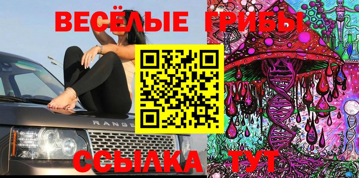 Галлюциногенные грибы MAGIC MUSHROOMS Куйбышев