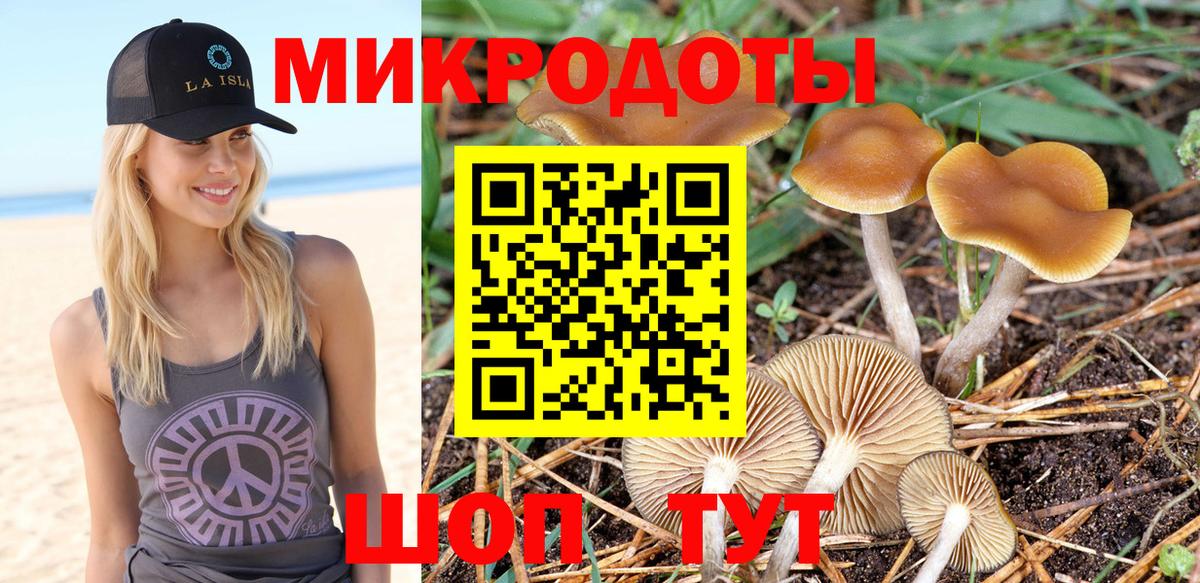 Галлюциногенные грибы GOLDEN TEACHER Куйбышев