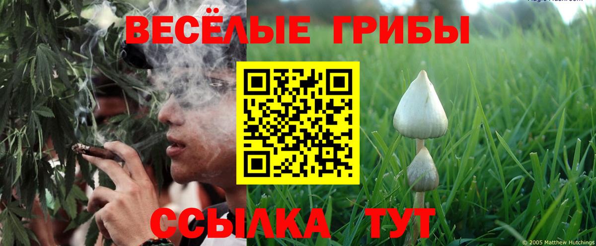 что такое   Галлюциногенные грибы ЛСД  Вход с VPN  Куйбышев 